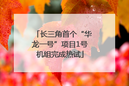 长三角首个“华龙一号”项目1号机组完成热试