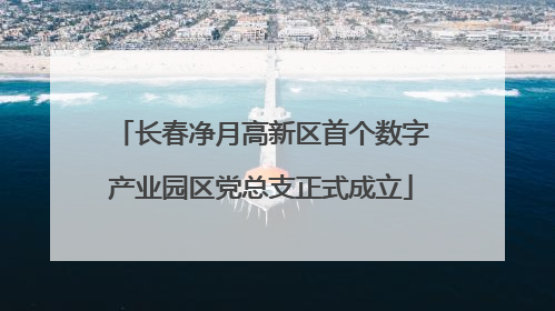 长春净月高新区首个数字产业园区党总支正式成立