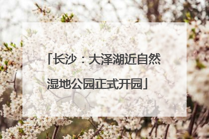 长沙：大泽湖近自然湿地公园正式开园
