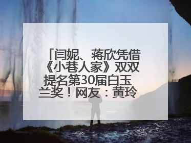 闫妮、蒋欣凭借《小巷人家》双双提名第30届白玉兰奖！网友：黄玲宋莹又相遇了