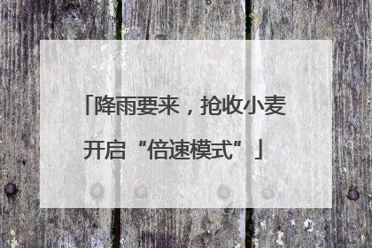 降雨要来，抢收小麦开启“倍速模式”