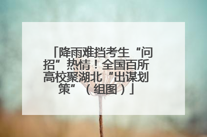 降雨难挡考生“问招”热情！全国百所高校聚湖北“出谋划策”（组图）