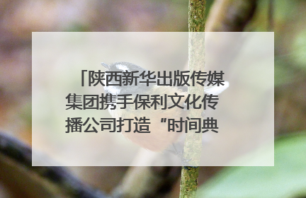 陕西新华出版传媒集团携手保利文化传播公司打造“时间典藏”数字艺术馆