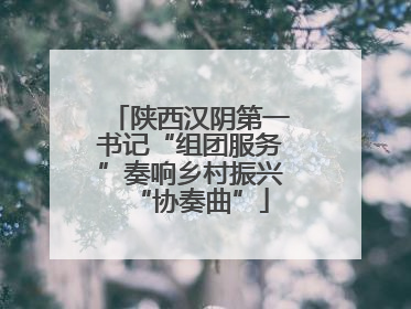 陕西汉阴第一书记“组团服务”奏响乡村振兴“协奏曲”