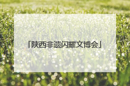 陕西非遗闪耀文博会