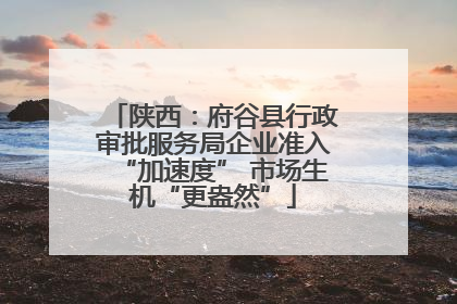 陕西：府谷县行政审批服务局企业准入“加速度” 市场生机“更盎然”