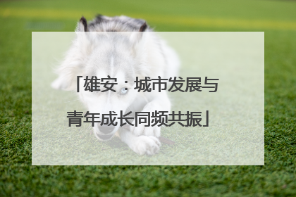 雄安：城市发展与青年成长同频共振