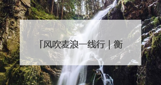 风吹麦浪一线行｜衡水冀州：开镰！科学种植 奏响丰收序曲