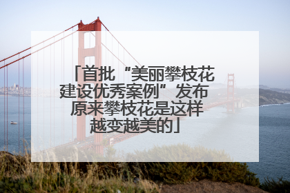首批“美丽攀枝花建设优秀案例”发布 原来攀枝花是这样越变越美的