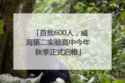 首批600人，威海第二实验高中今年秋季正式启帷