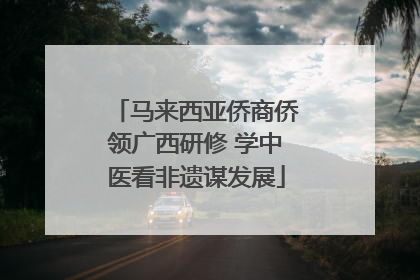 马来西亚侨商侨领广西研修 学中医看非遗谋发展
