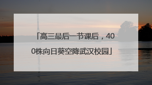 高三最后一节课后，400株向日葵空降武汉校园