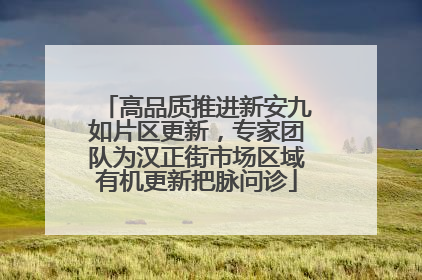 高品质推进新安九如片区更新，专家团队为汉正街市场区域有机更新把脉问诊