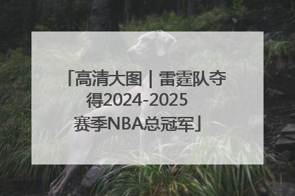 高清大图｜雷霆队夺得2024-2025赛季NBA总冠军