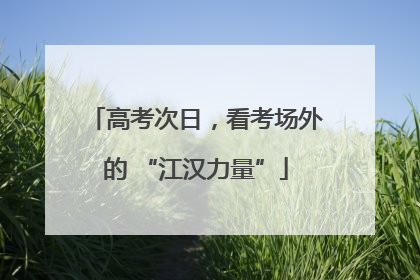 高考次日，看考场外的 “江汉力量”