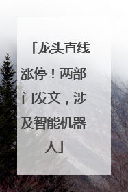 龙头直线涨停！两部门发文，涉及智能机器人