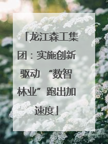 龙江森工集团：实施创新驱动 “数智林业”跑出加速度