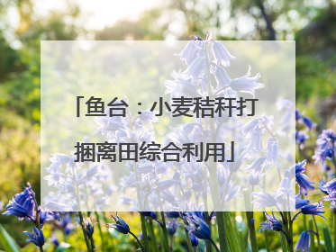 鱼台：小麦秸秆打捆离田综合利用