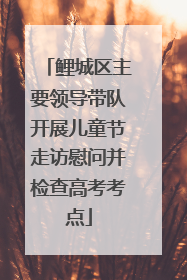 鲤城区主要领导带队开展儿童节走访慰问并检查高考考点