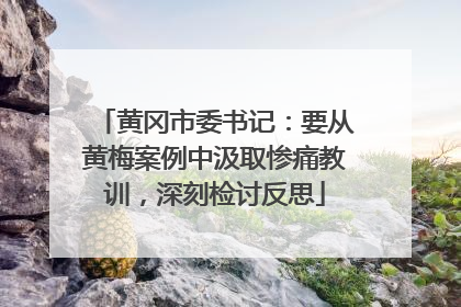 黄冈市委书记：要从黄梅案例中汲取惨痛教训，深刻检讨反思