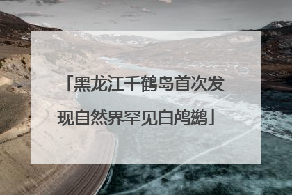 黑龙江千鹤岛首次发现自然界罕见白鸬鹚