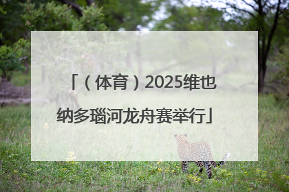 （体育）2025维也纳多瑙河龙舟赛举行
