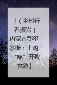 （乡村行·看振兴）内蒙古鄂尔多斯：土鸡“啄”开致富路