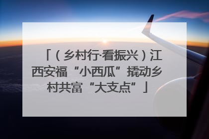 （乡村行·看振兴）江西安福“小西瓜”撬动乡村共富“大支点”