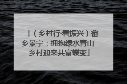 （乡村行·看振兴）畲乡景宁：拥抱绿水青山 乡村迎来共富蝶变