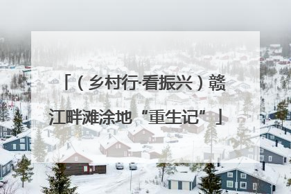 （乡村行·看振兴）赣江畔滩涂地“重生记”