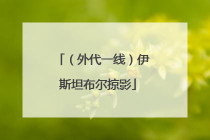 （外代一线）伊斯坦布尔掠影