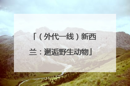 （外代一线）新西兰：邂逅野生动物