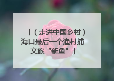 （走进中国乡村）海口最后一个渔村捕文旅“新鱼”