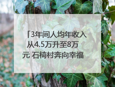 3年间人均年收入从4.5万升至8万元 石椅村奔向幸福好样子｜牵挂的村