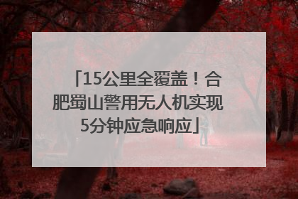 15公里全覆盖！合肥蜀山警用无人机实现5分钟应急响应