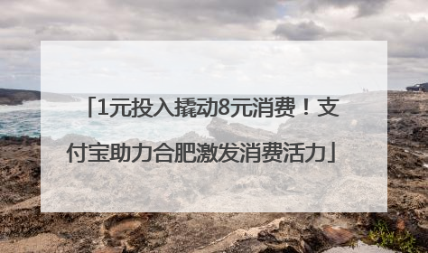 1元投入撬动8元消费！支付宝助力合肥激发消费活力