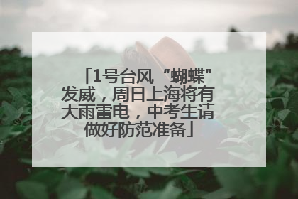 1号台风“蝴蝶”发威，周日上海将有大雨雷电，中考生请做好防范准备