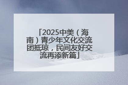 2025中美（海南）青少年文化交流团抵琼，民间友好交流再添新篇