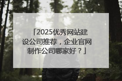 2025优秀网站建设公司推荐，企业官网制作公司哪家好？