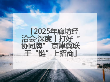 2025年廊坊经洽会·深度丨打好“协同牌” 京津冀联手“链”上招商
