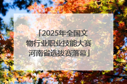 2025年全国文物行业职业技能大赛河南省选拔赛落幕