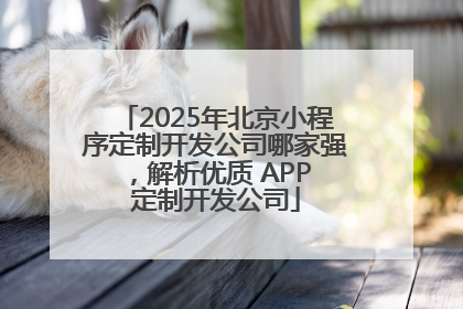 2025年北京小程序定制开发公司哪家强，解析优质 APP 定制开发公司