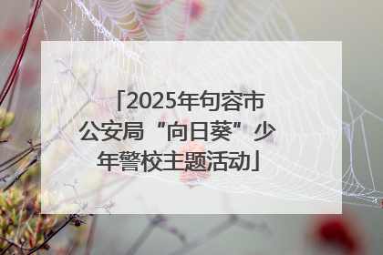 2025年句容市公安局“向日葵”少年警校主题活动
