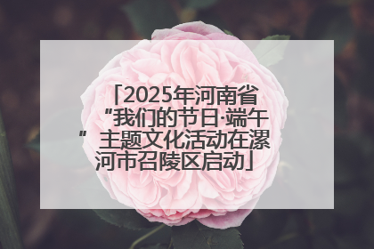 2025年河南省“我们的节日·端午”主题文化活动在漯河市召陵区启动