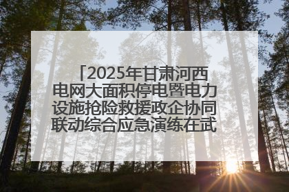 2025年甘肃河西电网大面积停电暨电力设施抢险救援政企协同联动综合应急演练在武威成功举行