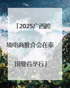 2025广西跨境电商推介会在泰国曼谷举行