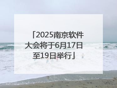 2025南京软件大会将于6月17日至19日举行