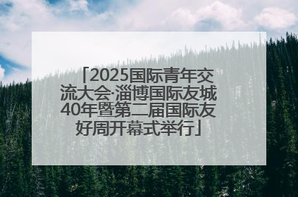 2025国际青年交流大会·淄博国际友城40年暨第二届国际友好周开幕式举行