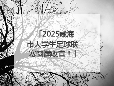 2025威海市大学生足球联赛圆满收官！