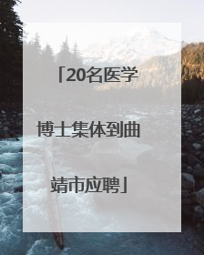 20名医学博士集体到曲靖市应聘